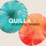 cover: Quilla - Beautiful Hybrid