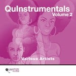 cover: Various - Quantize QuInstrumentals Volume 2