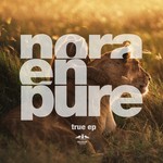 cover: Nora En Pure - True