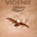 cover: Eli5sey - Videnie