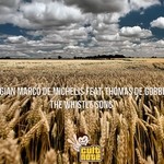 cover: Gian Marco De Michelis|Thomas De Gobbi - The Whistle Song (remixes)