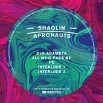 cover: The Shaolin Afronauts - Ojo Abameta