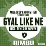 cover: Aquadrop|Big Fish - Gyal Like Me