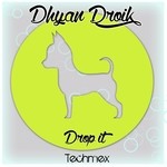 cover: Dhyan Droik - Drop It