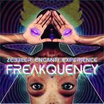 cover: Zebbler Encanti Experience - Freakquency