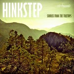 cover: Hinkstep - Sunrise From The Treetops