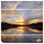 cover: D Phrag|Napalm - Mirror Lake