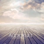 cover: Various - Audiokult Chilled Summer 2014