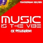 cover: Ck Pellegrini - Music Is The Vibe