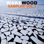 cover: Various - Wake Wood Sampler Vol 1