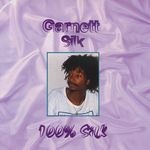 cover: Garnett Silk - 100 Silk