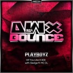 cover: Mc Dl|Playboyz & Sledge - Hit You Like A 909 (remixes)