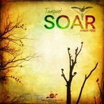 cover: Tonepoet - Soar