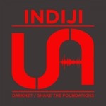 cover: Indiji - Darknet/Shake The Foundations