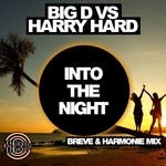 cover: Big D|Harry Hard - Into The Night