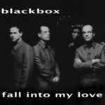 cover: Black Box - Fall Into My Love