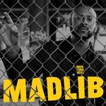 cover: Madlib - Rock Konducta Part 2
