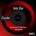 cover: Tryybo - Into Sax (remixes)