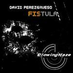 cover: David Perezgrueso - Fistula