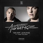 cover: Audiotricz|Miss Palmer - Never Leaving