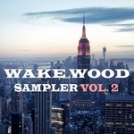 cover: Various - Wake Wood Sampler Vol 2