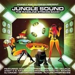 cover: Adam F|Dj Fresh|Various - Junglesound: The Bassline Strikes Back LP