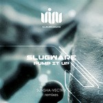 cover: Slugware - Pump It Up (remixes)