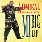 cover: Admiral Bailey - Mi Big Up