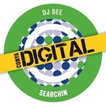 cover: Dj Bee - Searchin