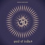 cover: Anurag Nandvanshi - Soul Of India