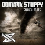 cover: Dominik Stuppy - Critical State