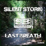 cover: Silent Storm - Last Breath