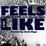 cover: Cam Hodges|Dylanjkvogt - Feels A Lot Like