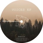 cover: Bass Lab - Voices