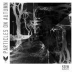 cover: Szeb - Particles On Autumn