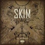 cover: Skim - The Antichrist