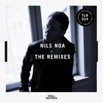 cover: Fender Heist|King Midas|Nosizwe - Nils Noa (The remixes)