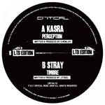 cover: Kasra|Stray - Perception