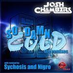 cover: Josh Chambers - So Damn Cold (The remixes)