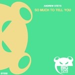 cover: Andrew Stets - So Much To Tell You