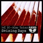 cover: Joc H|Nina Schatz - Seizing Days