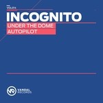 cover: Incognito - Under The Dome