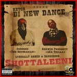 cover: Serocee & Kerwin Prescott - Shottaleeni