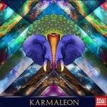 cover: Karmaleon - Give Me A Moment