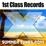 cover: Various - Summer Tunes 2014