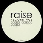 cover: Denis Karpov - Raise