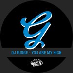 cover: Dj Fudge - You Are My High