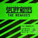 cover: Elijah Divine - Spliff Notes (remixes)