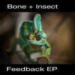 cover: Insect|Bone - Feedback EP