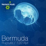 cover: Bermuda - Rupture/120 AM